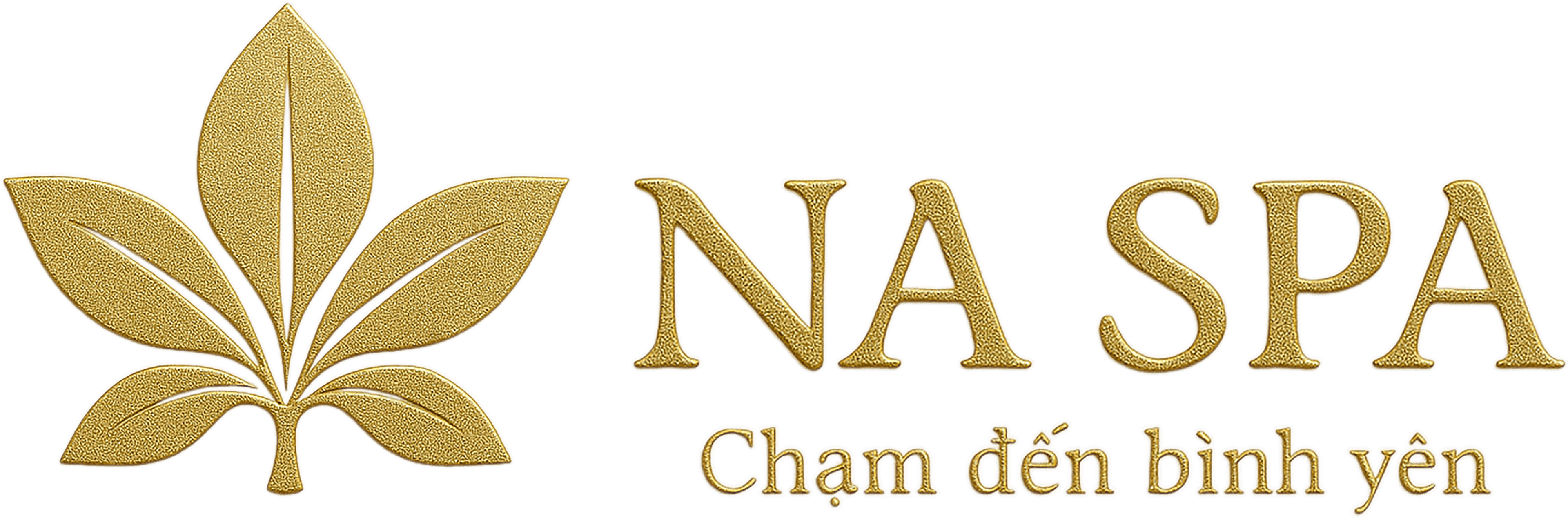 Na Spa Logo